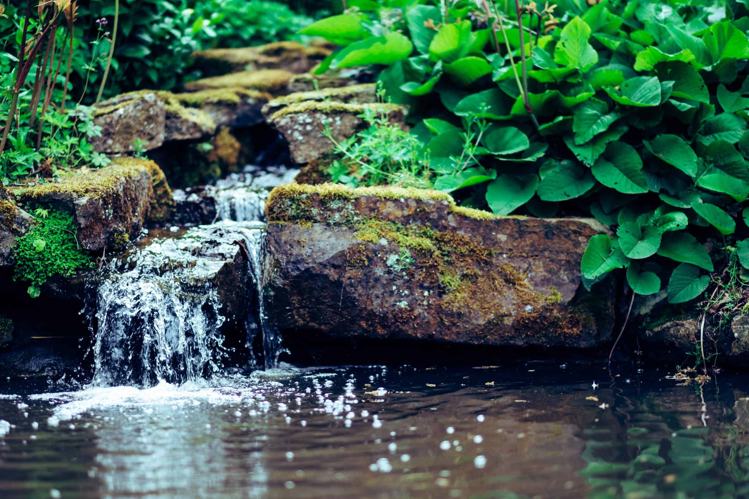 How Often Should You Change Betta Fish Water LoveMyBetta   Photo By Harry Grout On Unsplash Scaled 