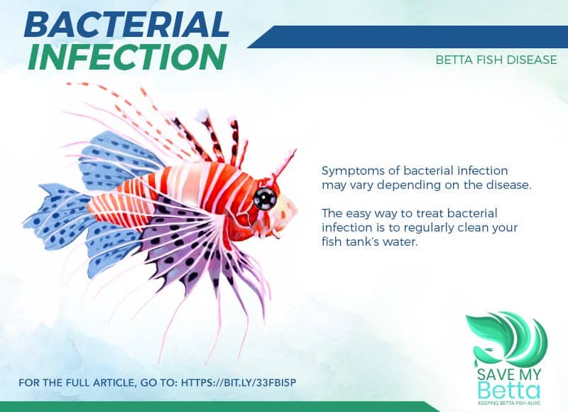 bacterial infection