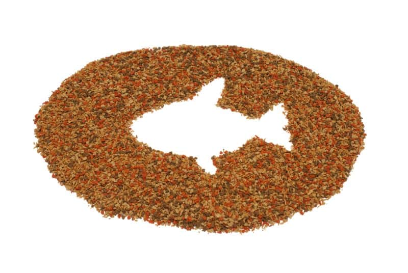 A pile of pet fish food on a white background with the shape of a fish in the center.