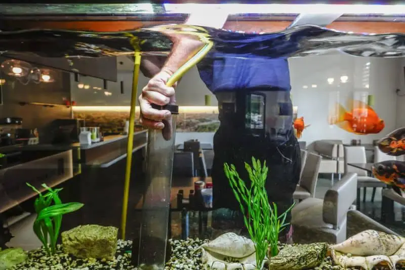 Vilnius, Lithuania A man vacuums a fish tank.