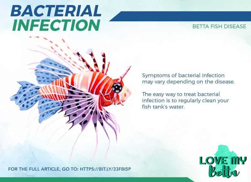 bacterial infection