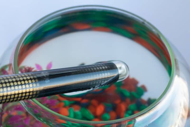 What Is the Best Heater for 20 Gallon Betta Tank? LoveMyBetta